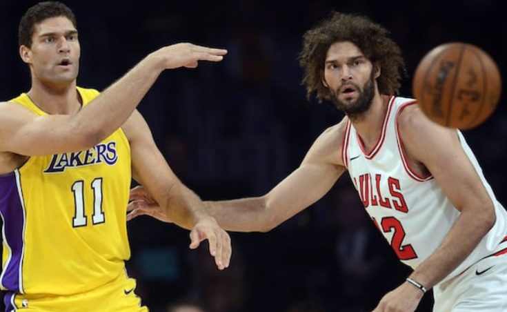 Brook and Robin Lopez