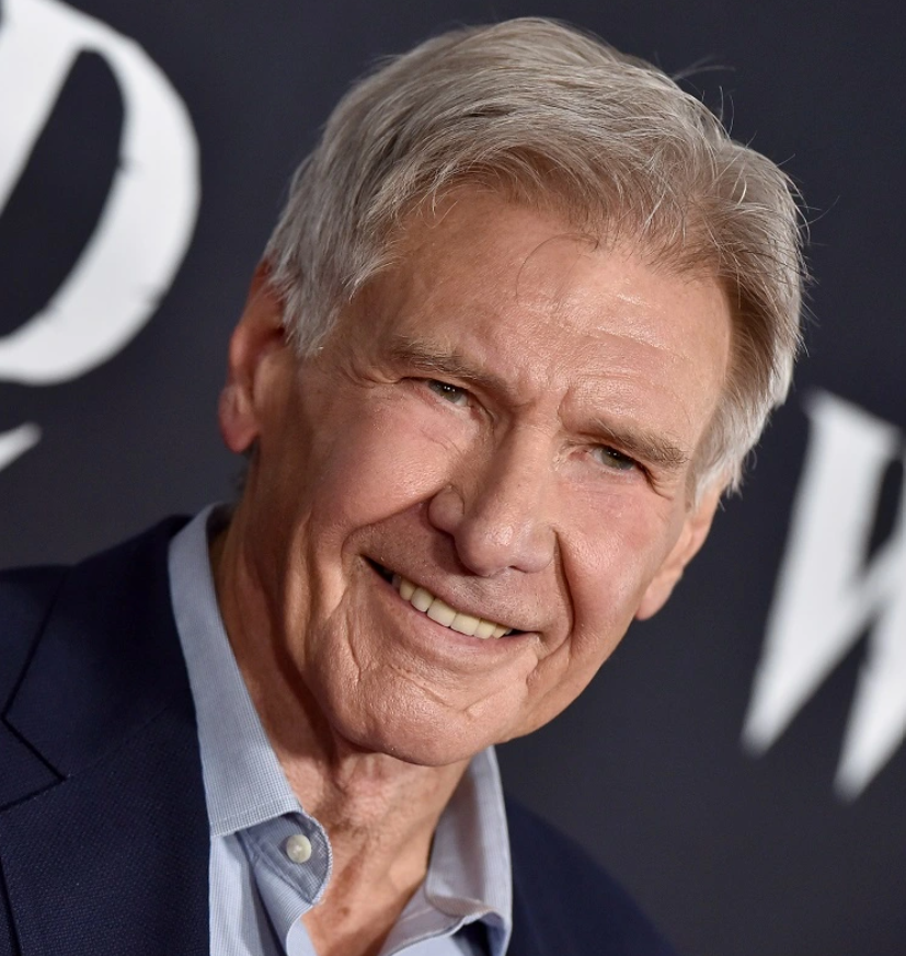 Harrison Ford and Glenn Ford: Are They Related? Bio, Career, Family ...