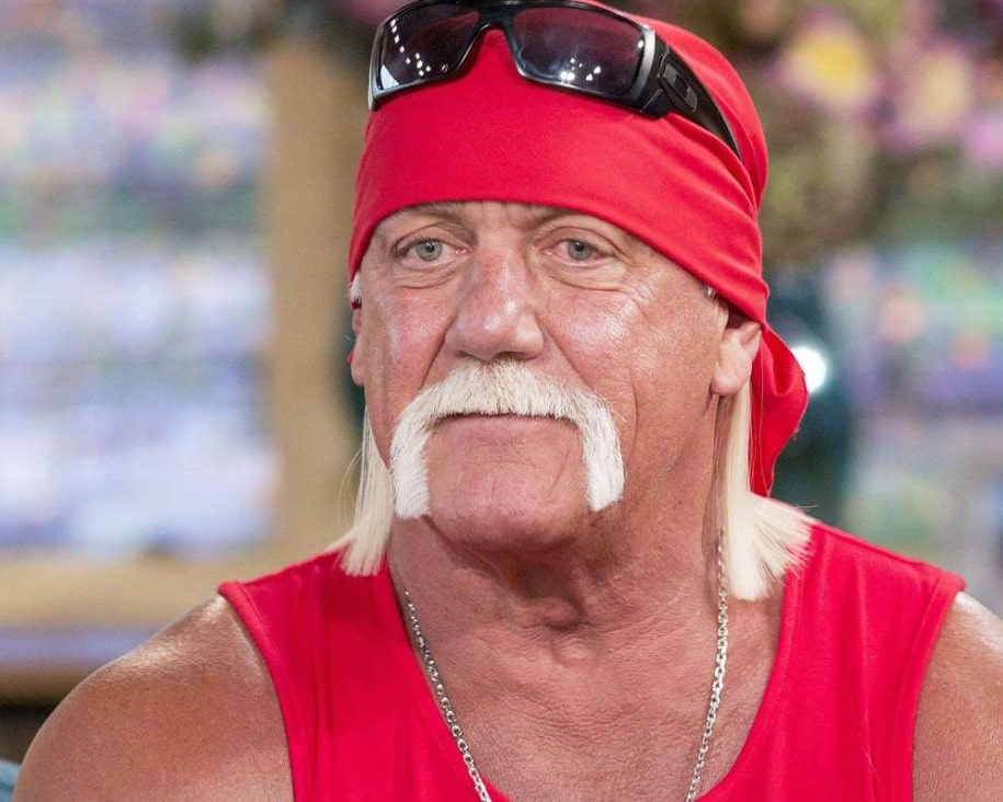 Hulk Hogan Biography, Wife, Children, Net Worth (2023), Biopic, Career