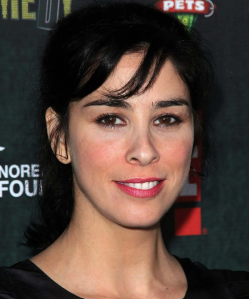 Sarah Silverman Partner: Is She Lesbian or Does She Have a Husband? Sag ...