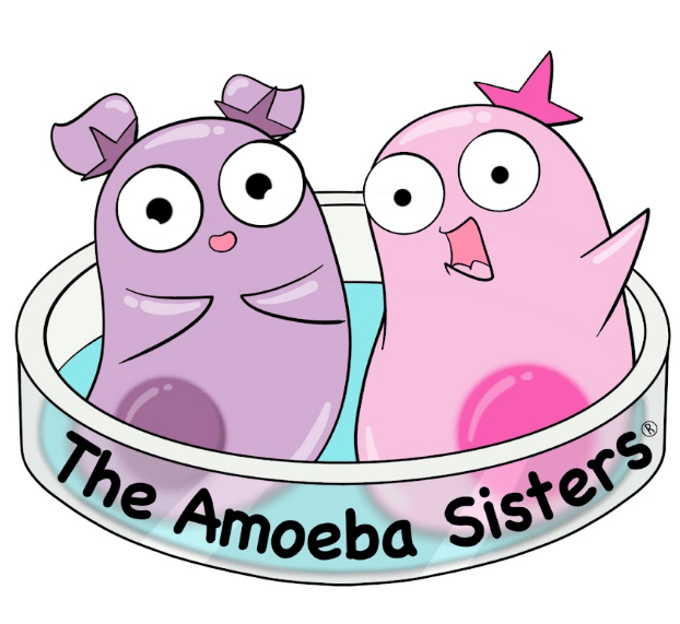 The Amoeba Sisters Mystery How Do They Look Wikibio And Identity Unveiled 8380