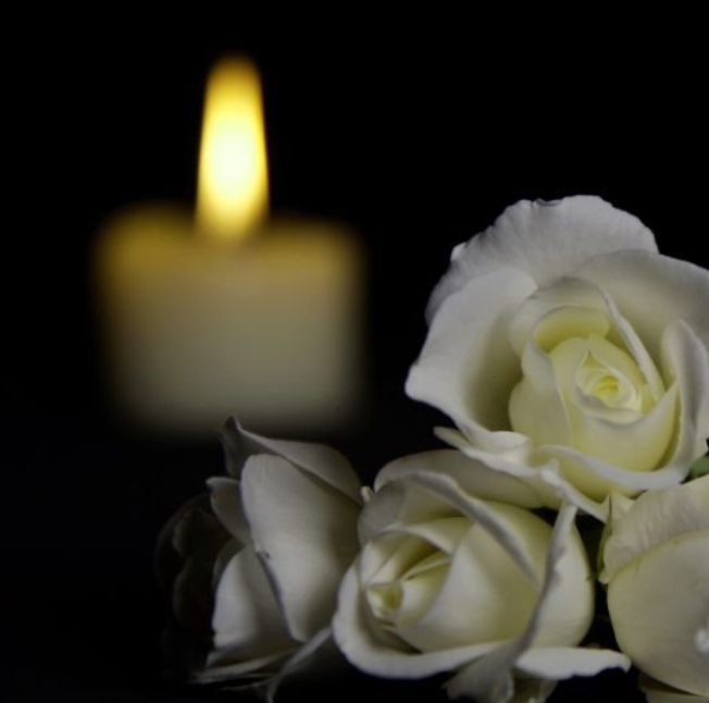 Obituary and Cause of Death for Terri Ficca of Global Park School