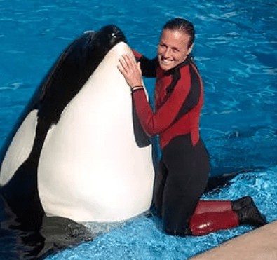 Tilikum's Shocking Encounter with Dawn Brancheau Caught on Camera