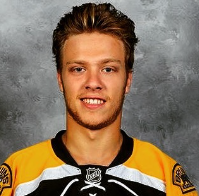 David Pastrnak Brother: Jakub Pastrňák, Parents, Bio And More