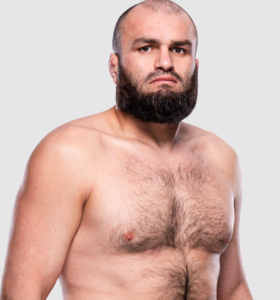 UFC Shamil Gaziev