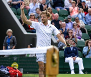 David Goffin